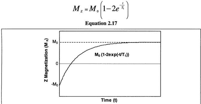 Figure 2.10:  T 1  relaxation  after a  180'  pulse  occurs  as shown  here.  Once  again,  Mo represents  the  magnitude  of  the  net  magnetization  M  at  equilibrium  (before  any excitation  has taken place,  or after the decay  processes  have  been
