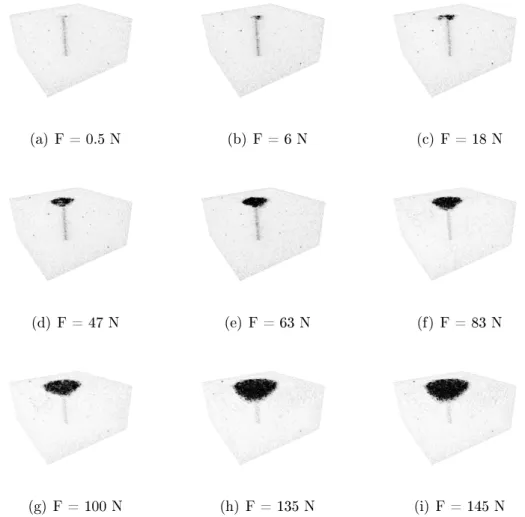 Figure 9: 3D rendering of the thresholded correlation residuals showing the development of the crushed zone during the indentation test