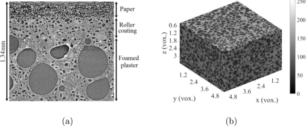 Figure 1: (a) Tomographic section showing the microstructure observed at a resolution of 1.4 µ m of the studied plaster whose porosity is of the order of 75 %