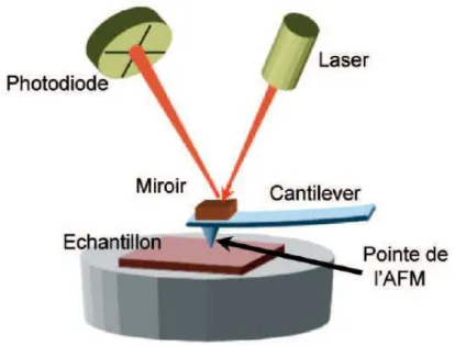 Figure 5 : Principe du microscope à force atomique, où le &#34;cantilever&#34; est guidé par un faisceau laser  réfléchi