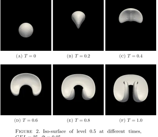 Figure 2. Iso-surface of level 0.5 at different times, CF L = 25, dt = 0.05.