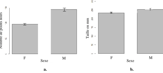 Figure 2 : a. : Nombre moyen de points noirs selon le sexe des individus ; b. : Taille moyenne des individus  selon leur sexe 