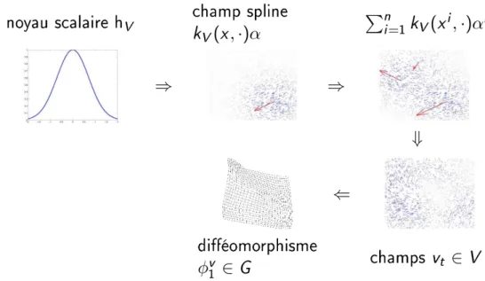 Fig. 10: Schéma illustrant les étapes permettant de passer de la dénition du noyau au diéomorphisme, extrait de la présentation de soutenance de thèse de J