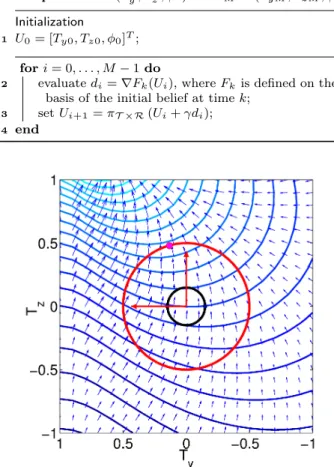 Fig. 5: Contour lines and local gradient vectors of the criterion F k (T y , T z , 0) w.r.t