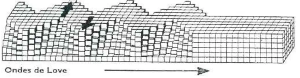 Fig. 1.4 : Ondes de surface 