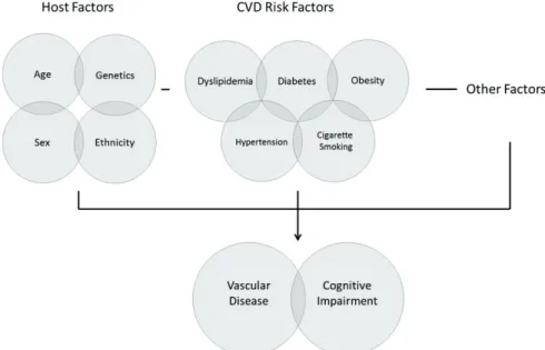 Figure 1. Schematic interplay of factors involved in cognitive impairment 