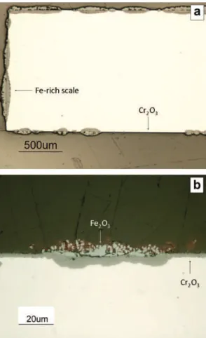 Fig. 3. External oxide scale formed on Fe–20Cr after (a) 120 h exposure to Ar–