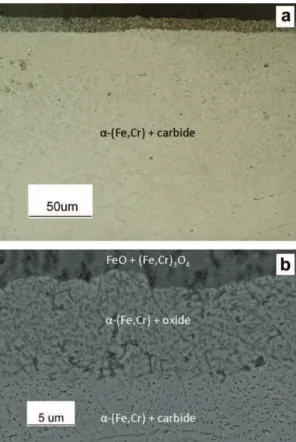 Fig. 5. Internal precipitation in Fe–9Cr after 120 h exposure to Ar–20CO 2 at 650 °C, etched with Murakami’s reagent