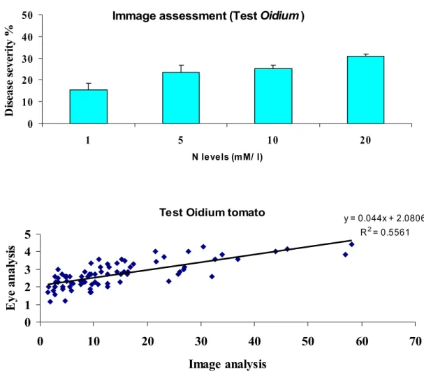 Figure 4. Effect of N fertilization on the susceptibility of tomato plants to Oidium  neolycopersici