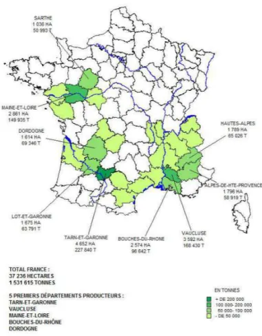 Figure 1 : Répartition de la production française de pomme de table (source Agreste) 
