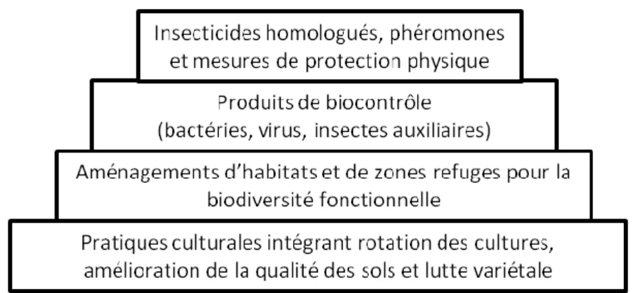 Figure 3 : Modèle simplifié des quatre types de méthodes de protection en agriculture biologique  L’agencement de la pyramide et la taille respective des blocs indiquent l’ordre de priorité à adopter 