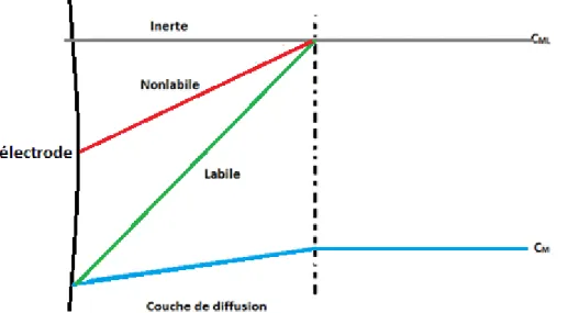 Figure 2 : Représentation schématique de la couche de diffusion avec les trois types des complexes