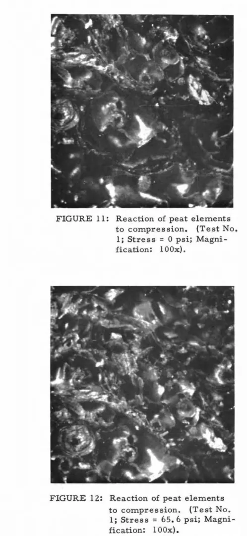 FIGURE 12: Reaction of peat elements to compression. (Test No.