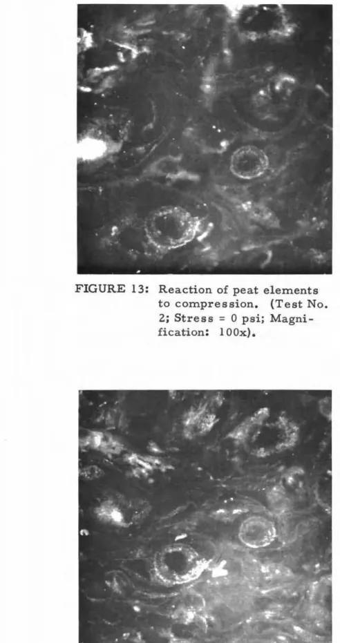 FIGURE 14: Reaction of peat elements to compression. (Test No.