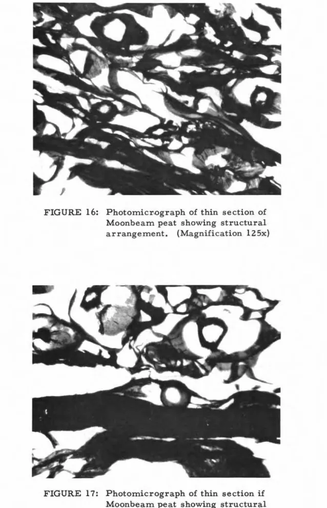 FIGURE 17: Photomicrograph of thin section if Moonbeam peat showing structural arrangement