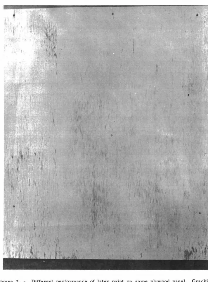 Figure 2 . - Different performance of latex paint on same plywood panel. C r a c k i n g and peeling on left quarter; erosion on centre; cracking and erosion on strip at right 