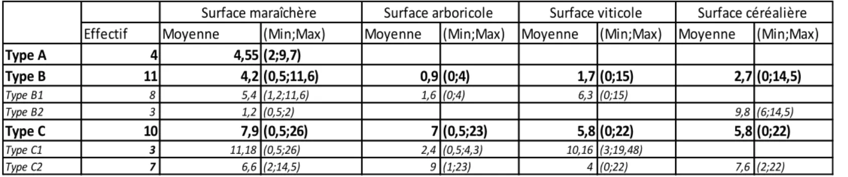 Figure 12: surfaces agricoles moyennes des types A, B, C (pas de différences statistiques significatives entre les surfaces  maraîchères des types A, B et C, ANOVA 1 fact) 