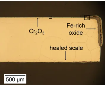 Figure 10: Optical microscope overview of oxidation products grown on Fe–25Cr after 240 h reaction in Ar–20CO 2 