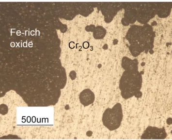 Figure 1: Surface view of Fe–20Cr after 120 h reaction in Ar–20CO 2 .