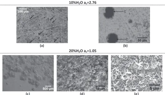 Fig. 7. SEM images of the surface of T122 alloy after 500 h at 650 °C and P atm in a (51–X)%H 2 –43%CO–6%CO 2 –X%H 2 O gas mixture for (a and b) Test 5 (10%H 2 O, a c = 2.76) and (c–e) Test 6 (20%H 2 O, a c = 1.05)