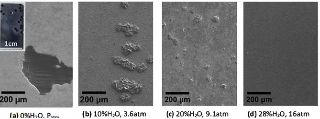 Fig. 10.  SEM images of the surface ofT122 alloy after exposure in a H 2 --CO--CO: r HP gas mixture (with �/CO• 12 and CO/CÛ2 • 7  2, Oc• 10) at 650 °C for  500 h (a) Test 4'  (0%�0