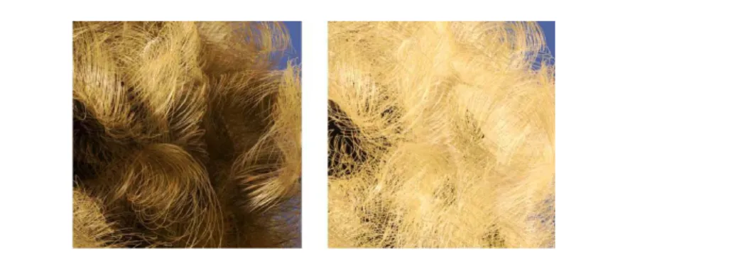 Figure 1.12: Importance of self-shadowing on hair appearance [WBK + 07]. (left) Shadows com- com-puted using Deep Shadow Maps [LV00] compared to (right) No shadows