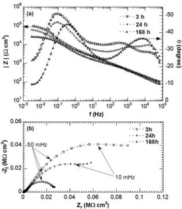 Fig. 6. Electrochemical impedance diagrams obtained for the strand sample – (a) Bode and (b) Nyquist coordinates – after different exposure times at E corr to 0.1 M Na 2 SO 4 + 0.001 M NaCl.