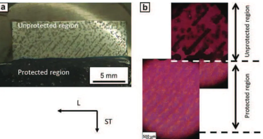 Fig. 10. EPMA analyses performed for a PWHT nugget of AA 2050 FSW joint.