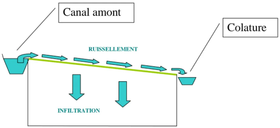 Figure 3  : Schéma du fonctionnement de l’irrigation par ruissellement 