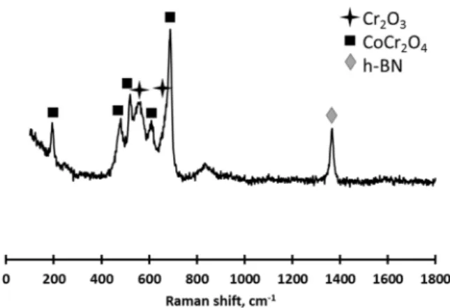 Fig. 3. Raman spectroscopy analyses of the as-sprayed CoNiCrAlY/h-BN abradable coating.