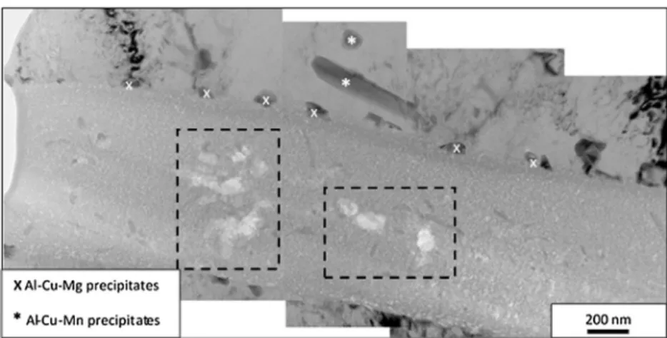 Fig. 2. Photomontage of Bright Field (BF) TEM images showing an intergranular corrosion defect in an AA2024-T351 after a 24 h immersion in a 1 M NaCl solution.