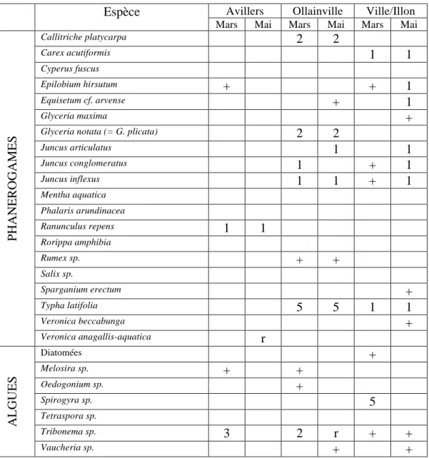 Tableau 3 : Diversité floristique des dispositifs surfaciques 