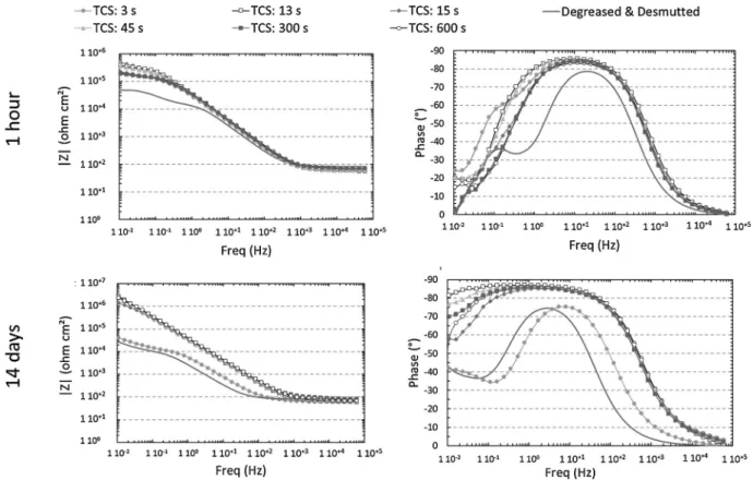 Fig. 9. EIS spectra plotted for TCP coated samples after 1 h and 14 days of immersion in 0.5 M NaCl.