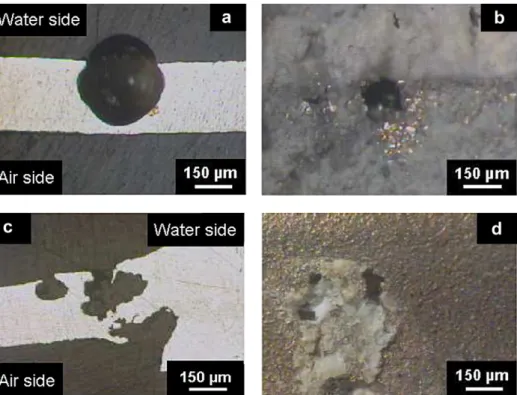 Fig. 6. OM observations of (a) the section and (b) the surface of a sample from a circulation test at 70 °C with a 90% water-containing mixture with 350 ppm NaCl and of (c) the section and (d) the surface of a sample from a circulation test at 70 °C with a
