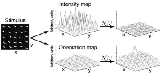Fig. 4.3  Opérateur de normalisation.