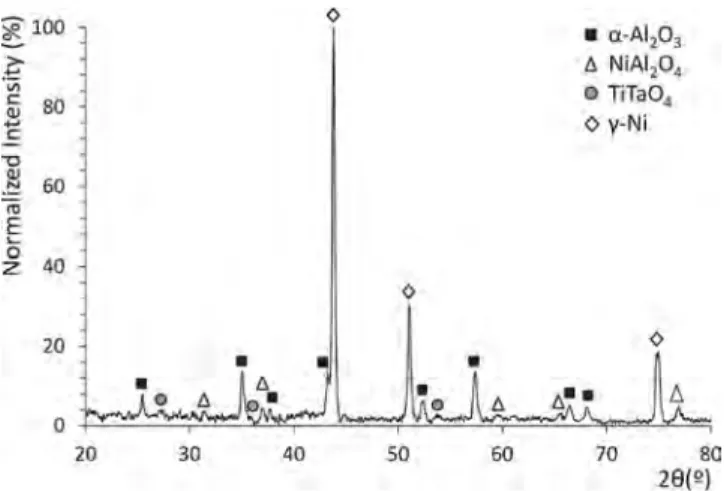 Fig. 4. Example of a model ﬁ tting of the experimental data of the uncoated AM1 doped in hafnium after 6000 cycles at 1100 °C.