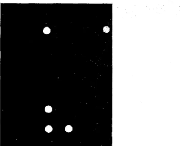 FIG.  2-Photographic  plate  showing  light  transmission  through  gravel  aggre-  gate