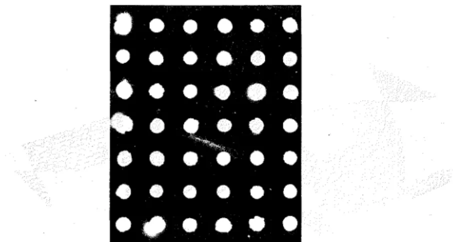 FIG.  5-Light  transmission  through  %-in.  layer  of  marble  aggregate. 