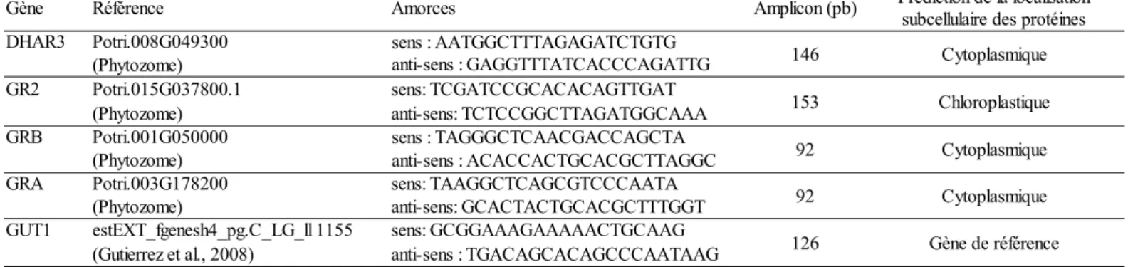 Tableau 1 : Présentation des gènes d'intérêts sélectionnés et des amorces sens et anti-sens