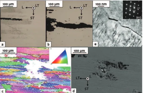 Fig. 7a shows a decrease in the OCP for NHT samples when theFig. 4.HT sample. OM observations of intragranular corrosion defects after (a) CI 15 h and after (b) CI 72 h; (c) EBSD observations of a corrosion defect after a continuousimmersion test; (d) SEM 