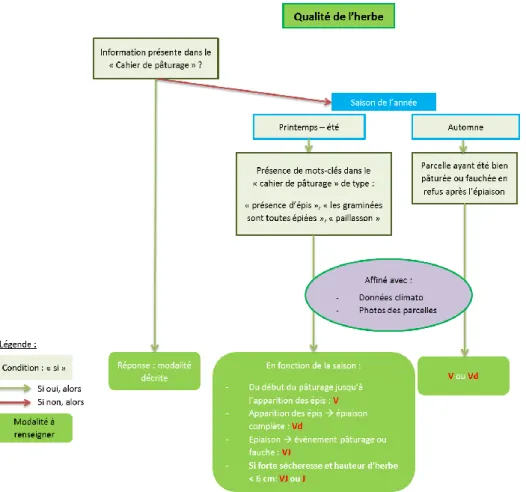 Figure 10 : Arbre de décision menant au choix de la modalité de qualité de l'herbe 