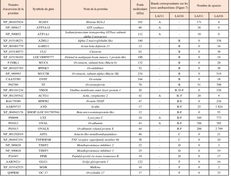 Tableau 1 :  Identification des HBP  du LA à J11 et à J16 qui correspondent  aux zones d’inhibition  pour les tests anti-Listeria  monocytogenes  et anti-Salmonella enterica  Enteritidis (Figure 7) par spectrométrie de masse couplée à de la chromatographie