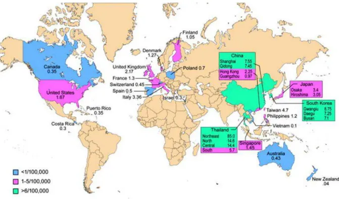 Figure 4. Worldwide incidence  (cases/100,000)  of  CC. With pink color are represented areas with rare incidence  (1-5/100,000  cases),  in  green  color  are  indicated  countries  in  which  CC  is  a non-rare cancer  (&gt;6/100,000 cases),  while  in  