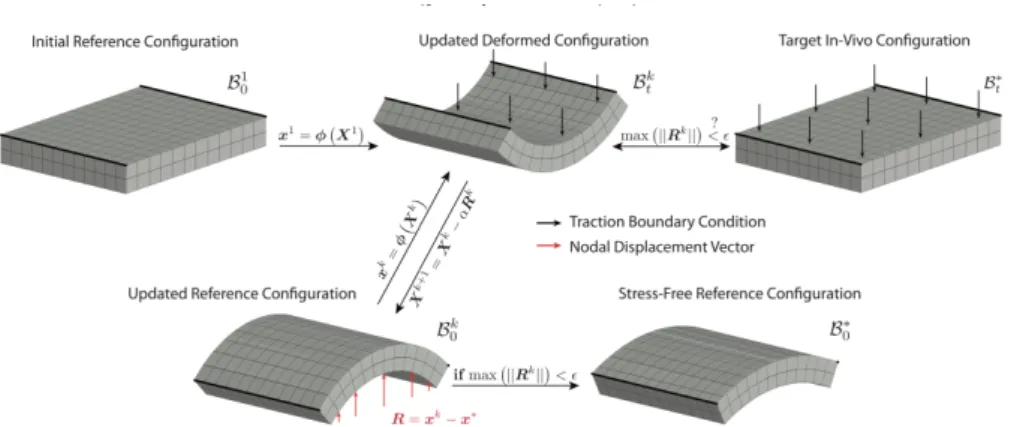 Figure 1.2: Illustration of Sellier’s iterative method for identifying a stress-free reference configu- configu-ration in biomechanical boundary value problems [11].