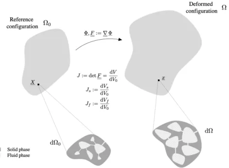 Figure 1.3: Schematic of the reference configuration and the deformed configuration with the associated local quantities, volumes and porosity [9].