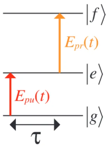 Fig. 1 – Excitation scheme.