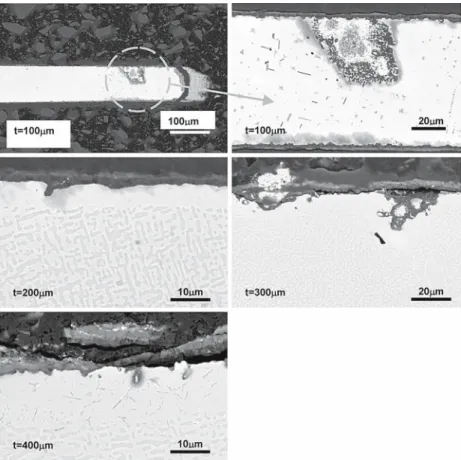 Fig. 7 Typical appearances of the corrosion affected zones in dependence on the specimen thickness after 300 thermal cycles
