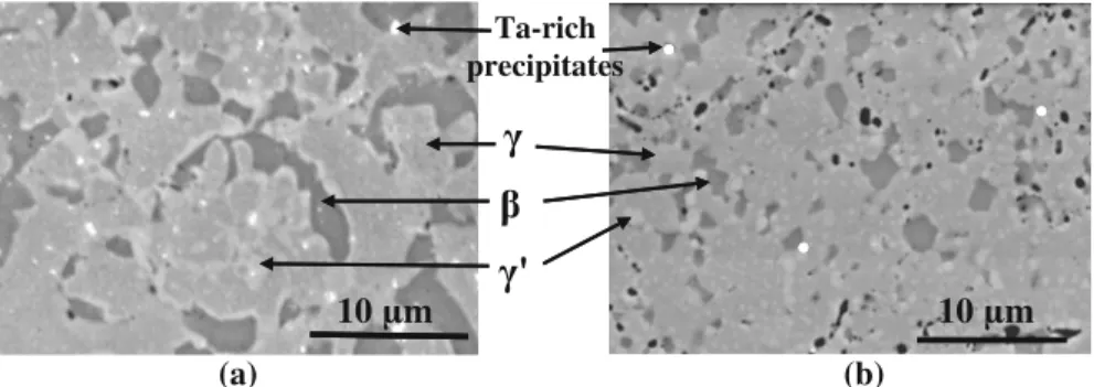 Fig. 3 Al depletion in NiCoCrAlYTa coating deposited by HVOF spraying, after isothermal oxidation test during 100 h at 950 °C 10 µm ' 10 µmTa-richprecipitates(a)(b)