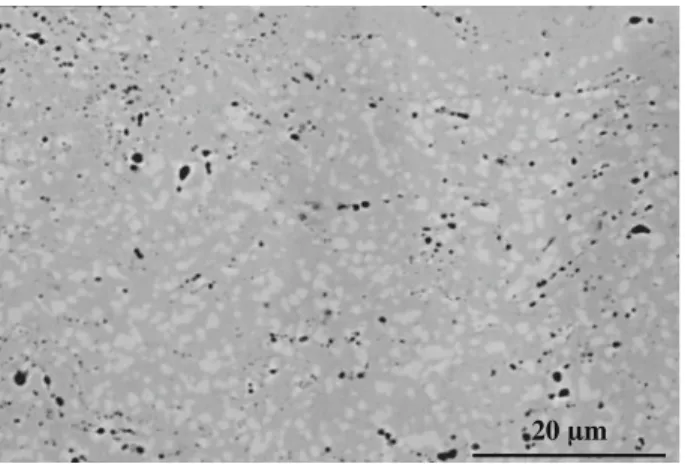 Fig. 5 Dispersion of oxides (black particles) in NiCoCrAlYTa coating deposited by HVOF spraying after 900 h exposure at 1,000 °C