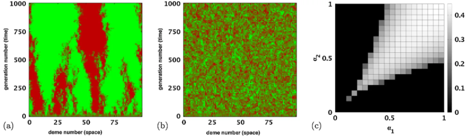 FIG. 1 (color online). Mutualism in the one-dimensional stepping-stone model [9,11]. The simulation parameters are chosen to mimic bacterial colonies growing in a Petri dish [14]